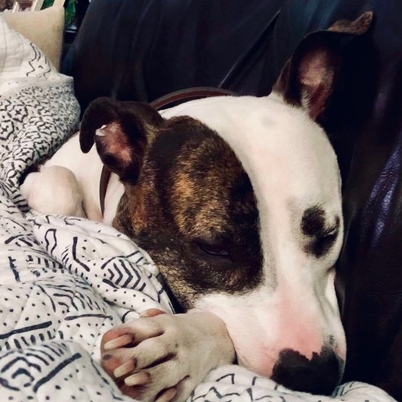 Meet your Posh Ambassador, Suzanne & Emmy 🌺 - Picture 4 of 7